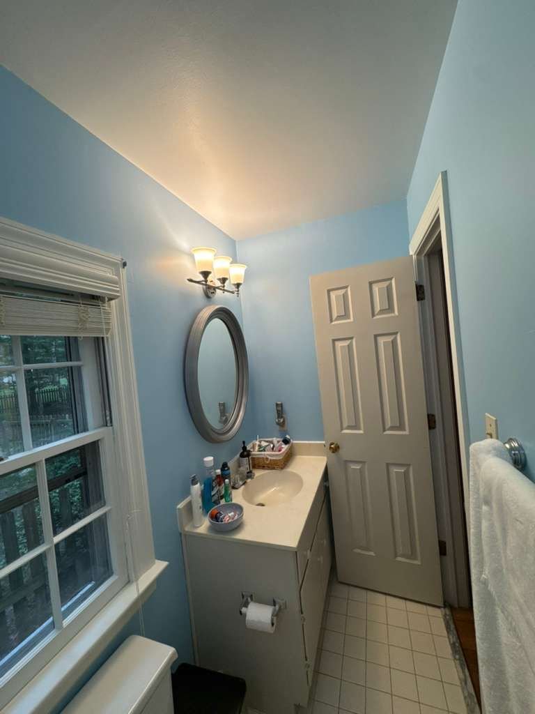Cabinet Painting